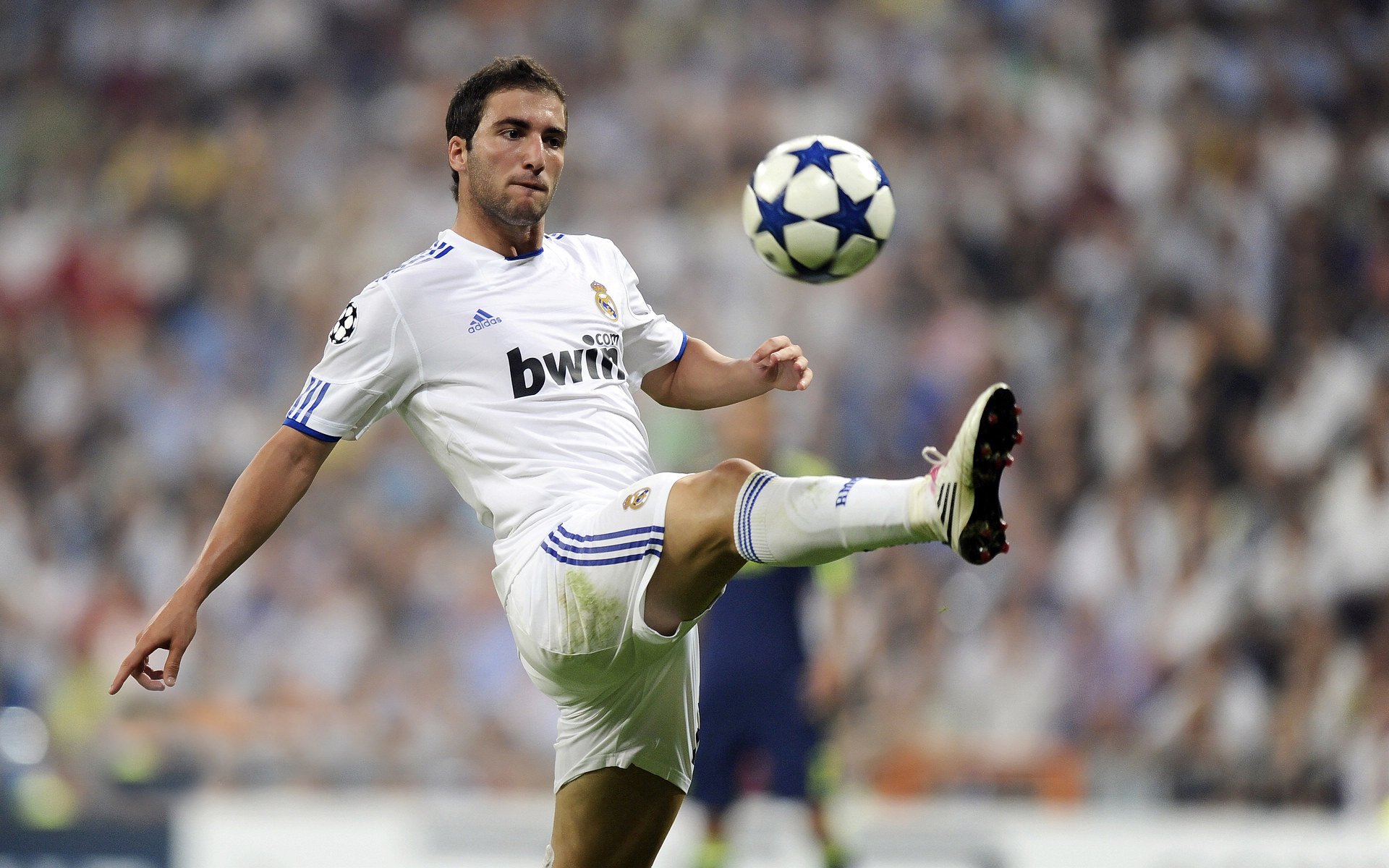 美洲杯热血沸腾:明星拼搏,精彩不断!,美洲杯现场观众